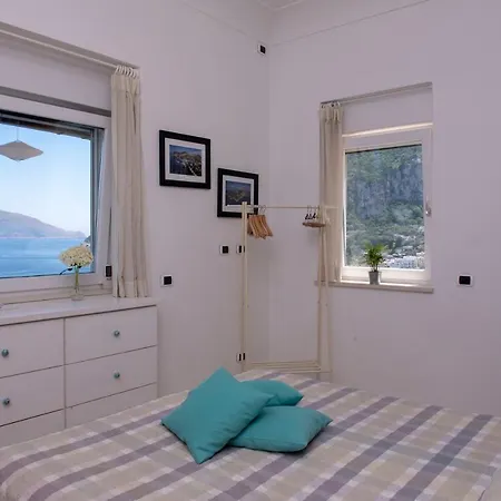 Punta Vivara *