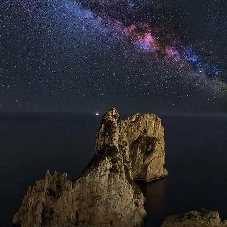 Punta Vivara