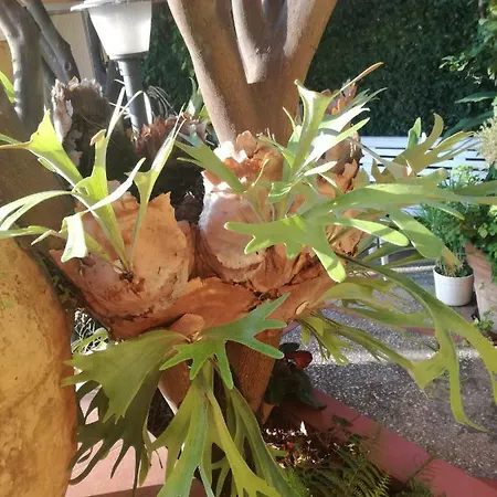 Punta Vivara 카프리